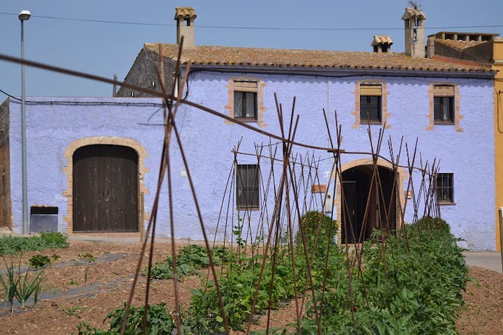 Sant Jaume dels Domenys的民宿