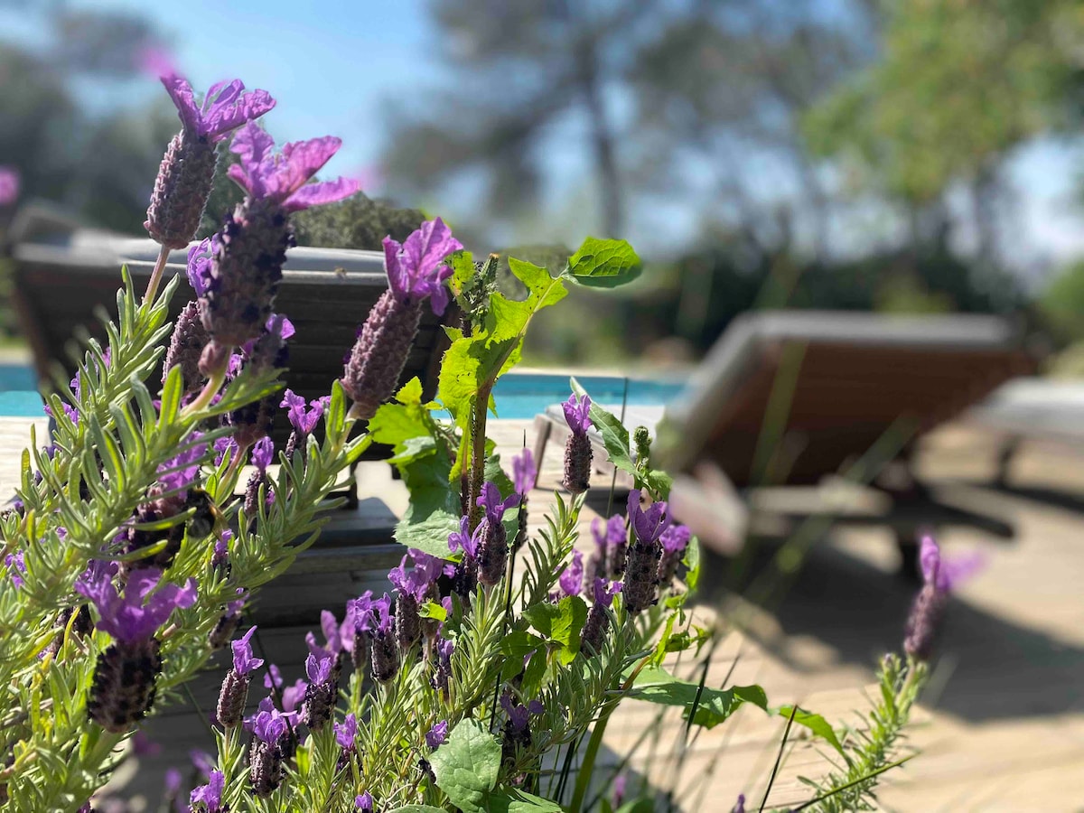 La Finca , pour une escapade inoubliable