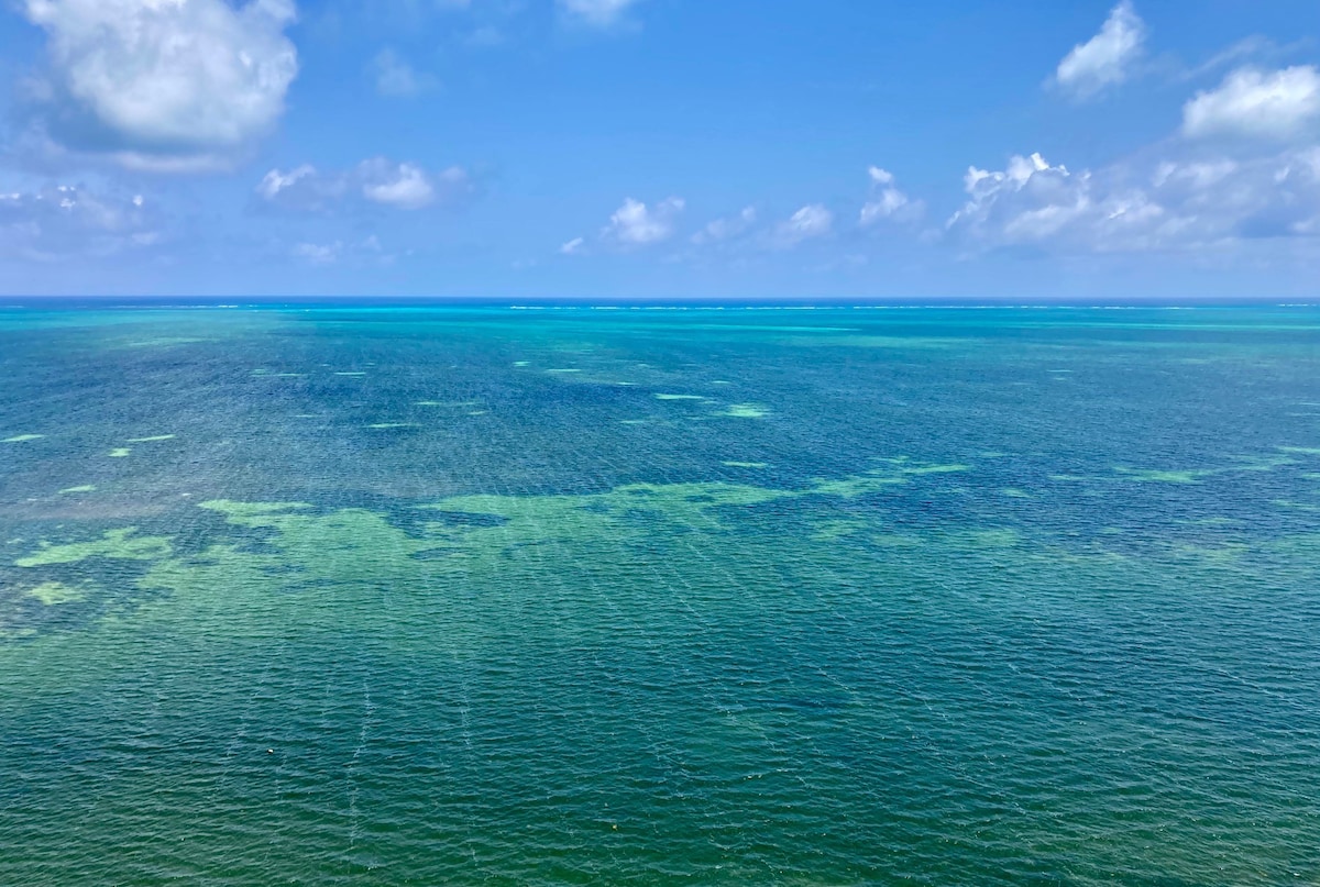 Cancun ZH的别致复式复式海滨PH