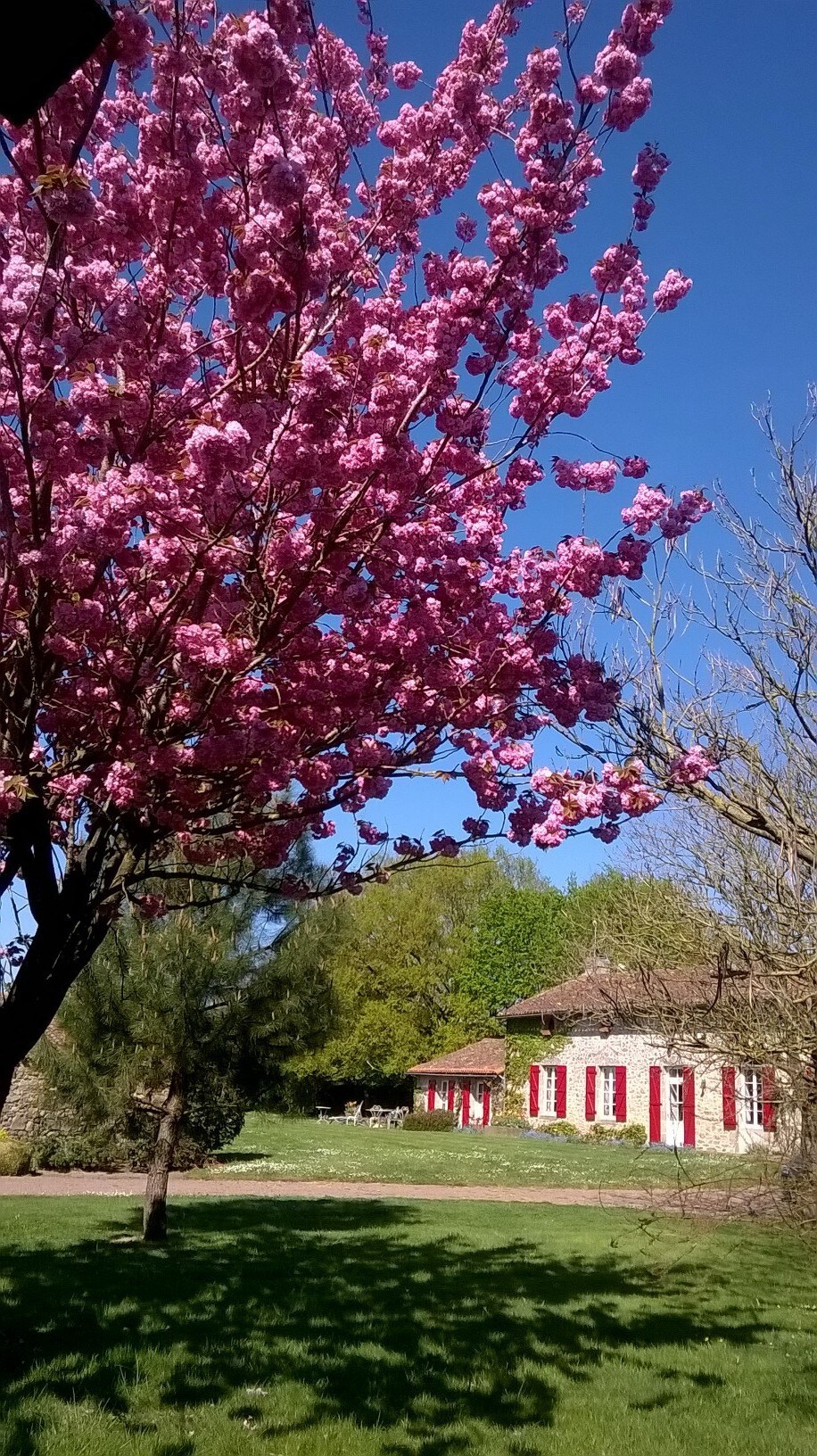 Puy du Fou - Les Guyonnières