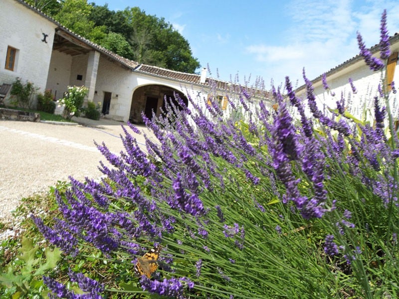 Gîte : La Malle Poste - au cœur du Vignoble