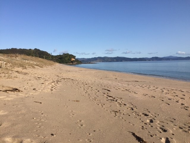 海滩前天堂环形海滩Whitianga