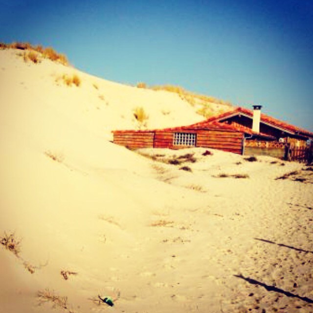 Maison en bois au pied de la dune