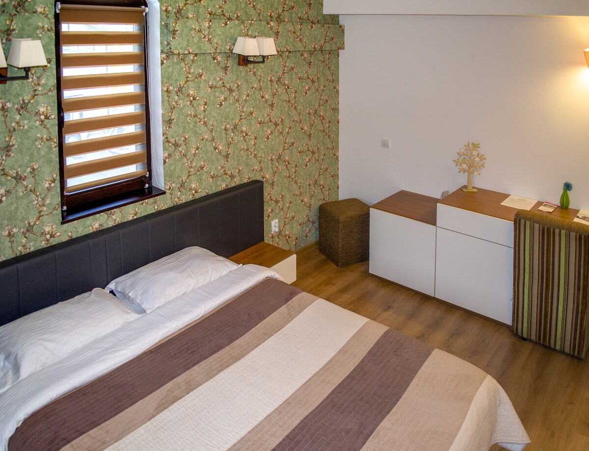 Bucovina Residence & SPA Double Room 1