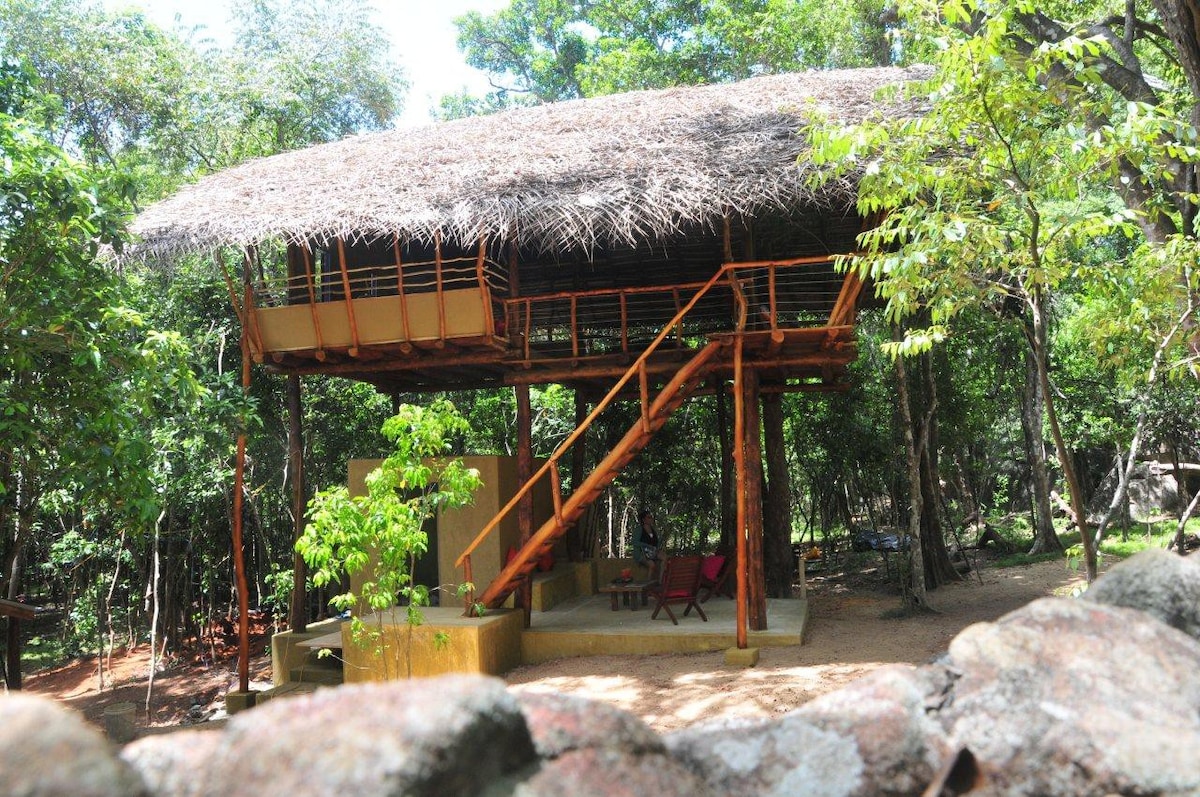 丛林书籍，住在锡吉里亚（ Sigiriya ）的舒适树屋中