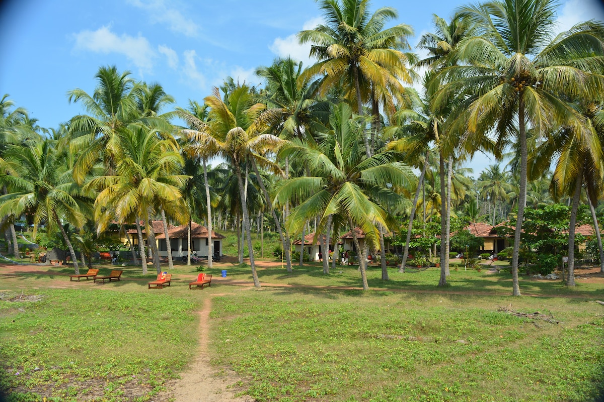 Beach front cottages in Tropical Gardens