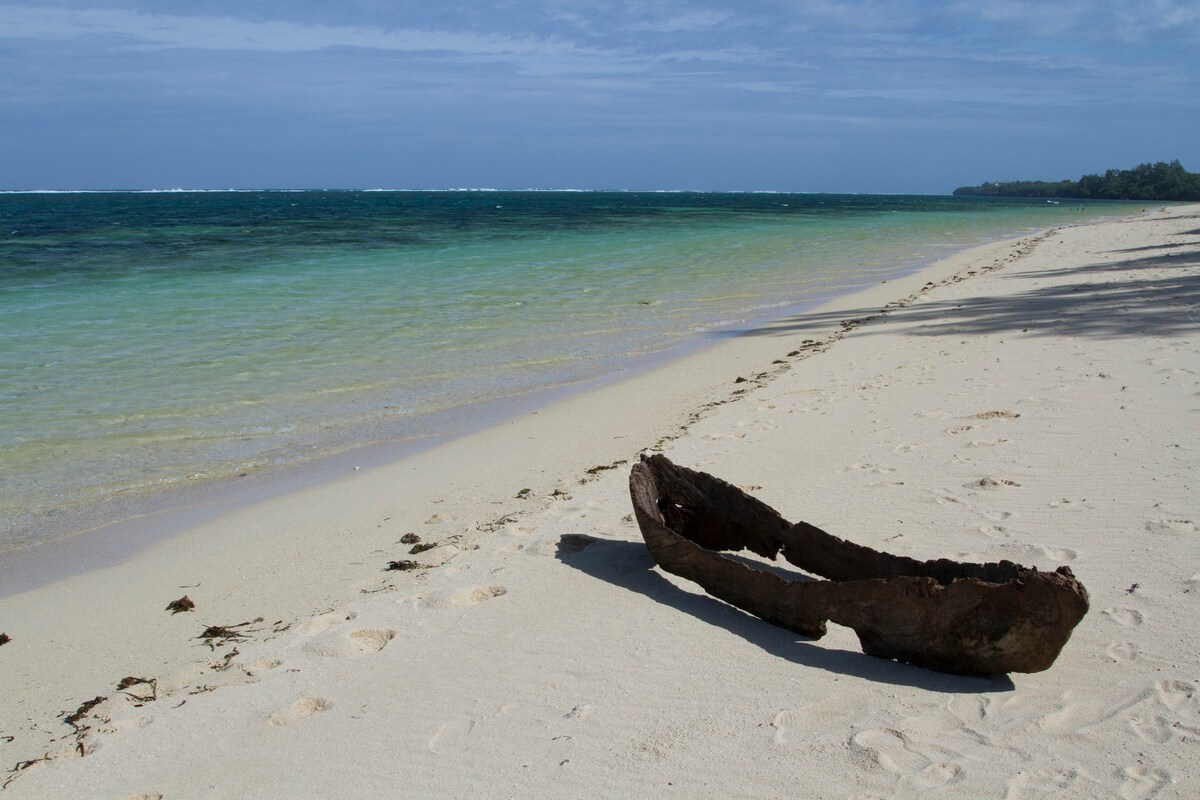 Neem Tree - Marine Conservancy海滨别墅