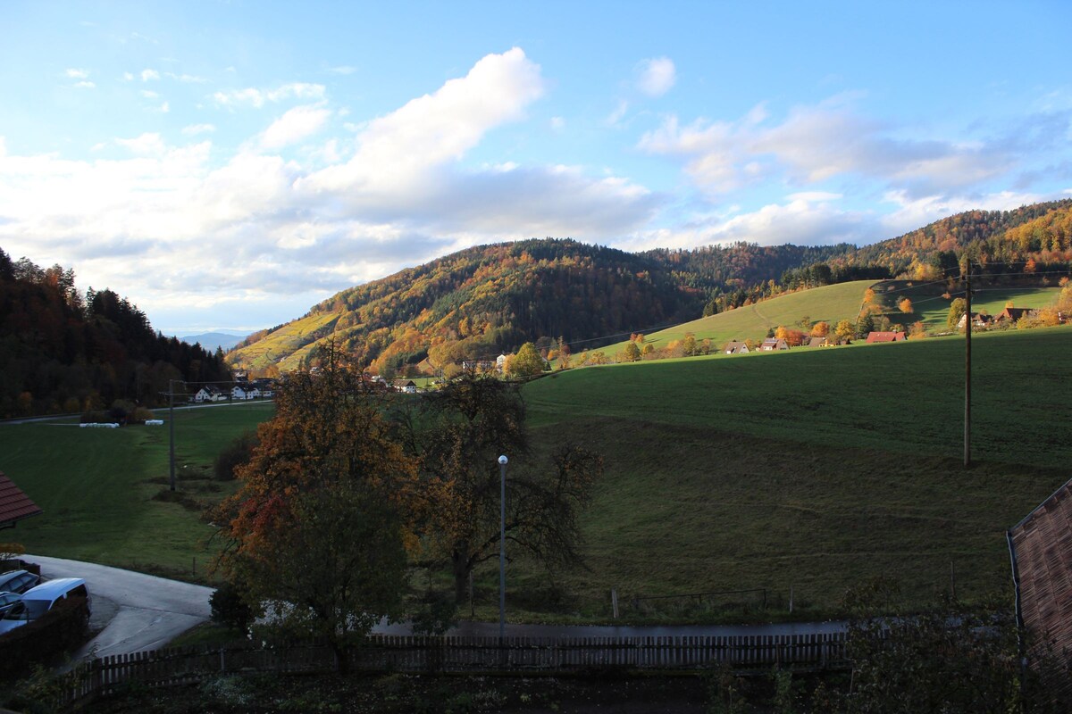 Gschwanderhof, (Glottertal), Ferienwohnung Talblick, 50qm, 2 Schlafräume, Balkon,最多5人