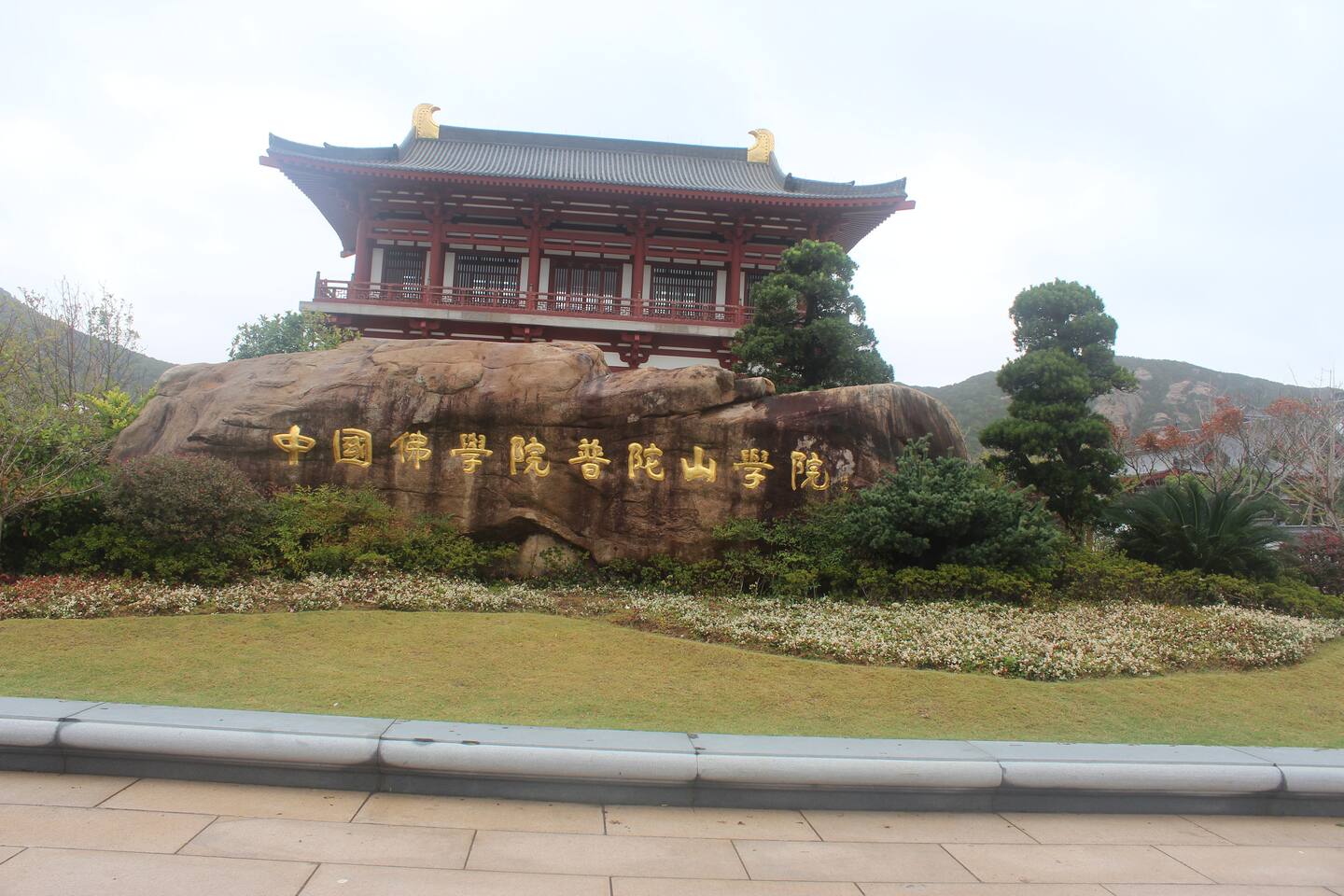 朱家尖金荷之家～精致1居大床房