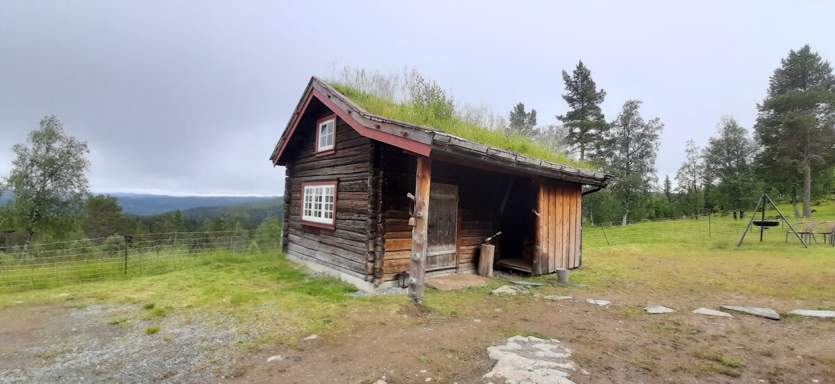 Sætervoll上的田园诗般的木头