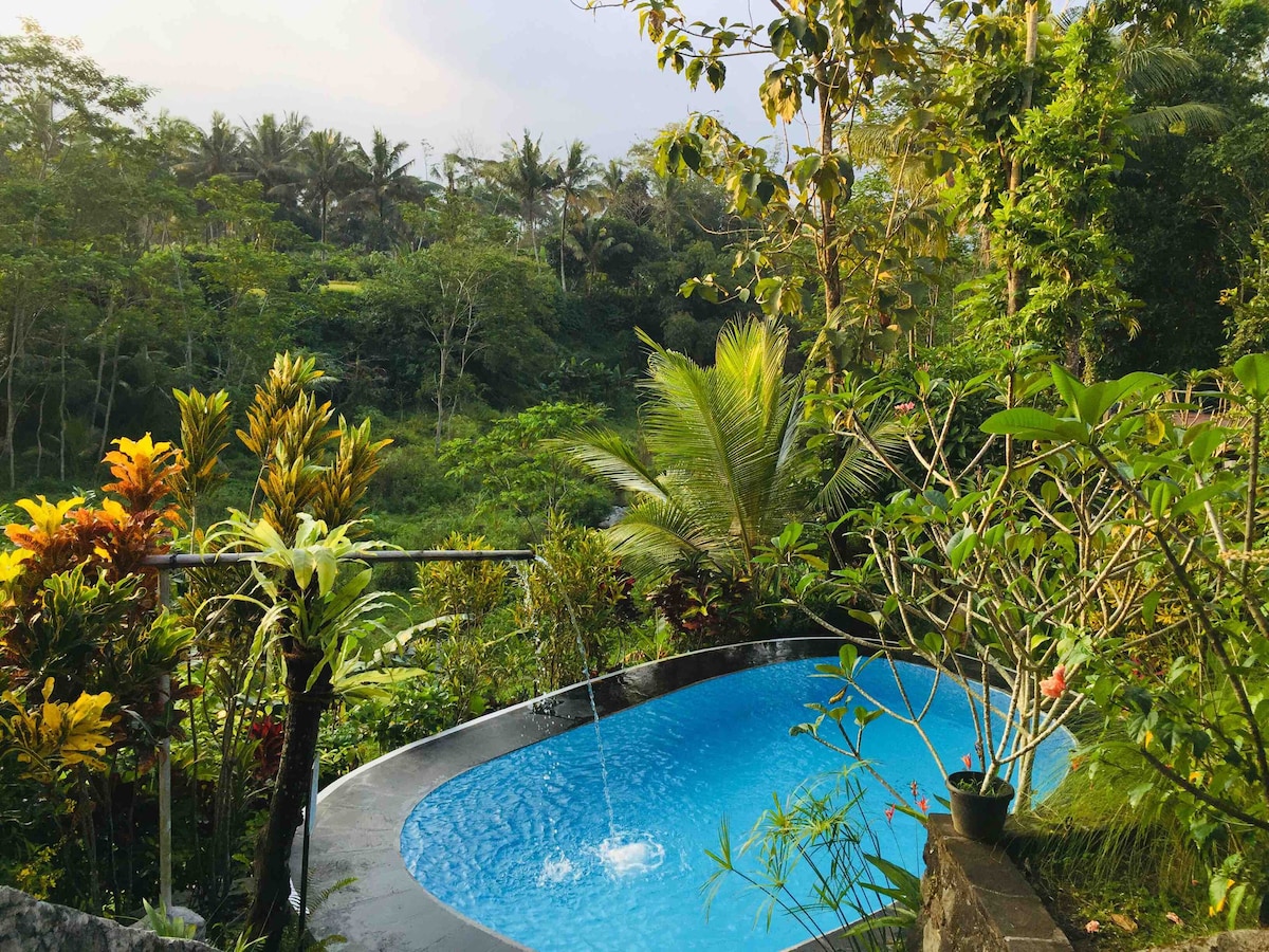 Family Cottage Garden View-Riverside Jogja