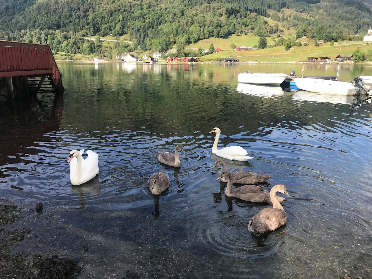 Feriehus med fin utsikt i Åkra