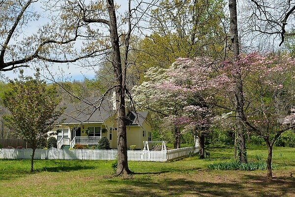 Dogwood庄园客栈的Devon乡村小屋