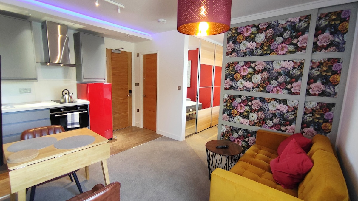 Newly Refurbished attractive modern studio