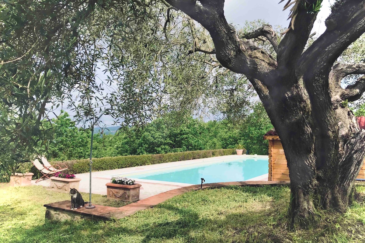 Agriturismo 'La Coccinella' - Lavanda别墅