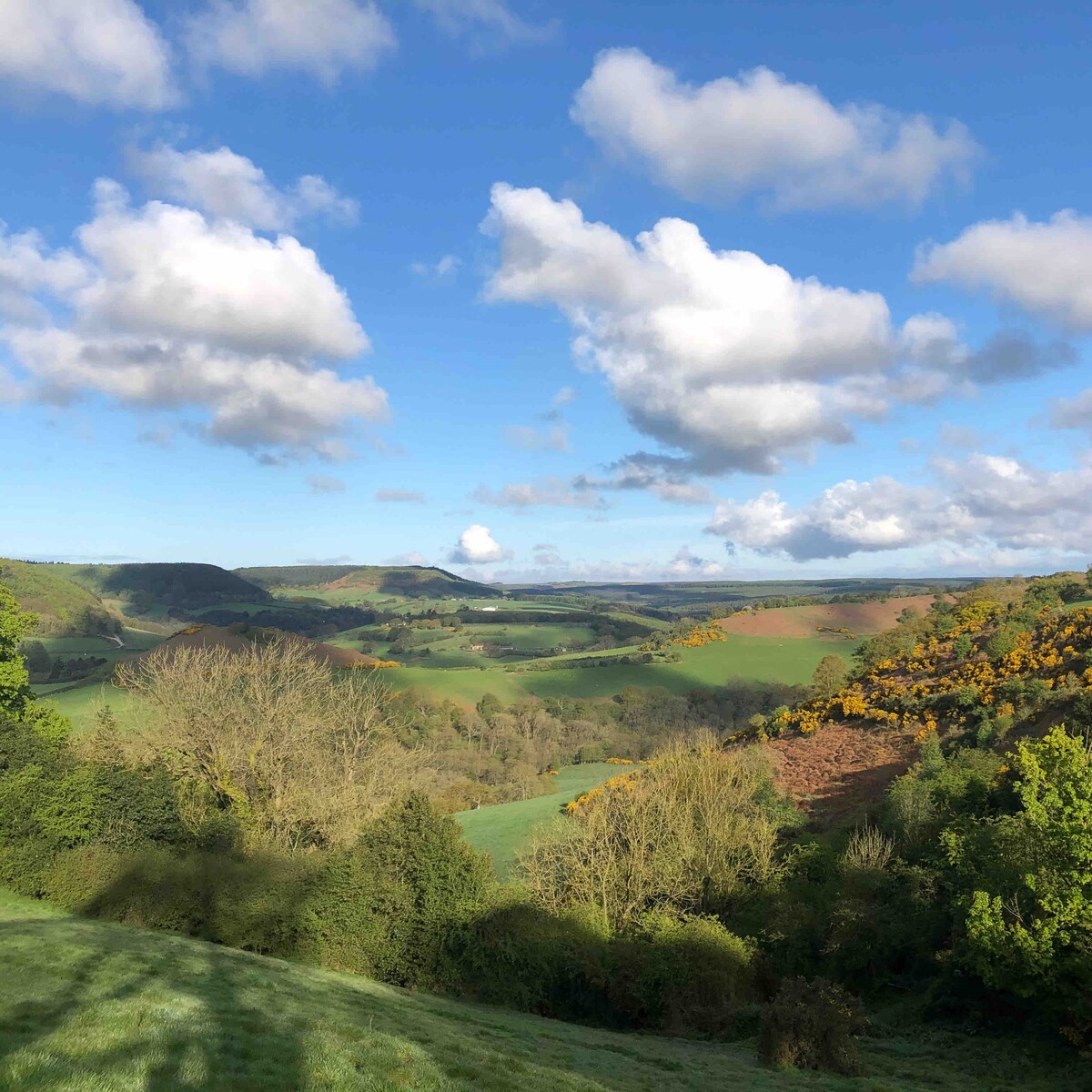 The View Broxa - Luxury Lodge - Yorkshire Coast