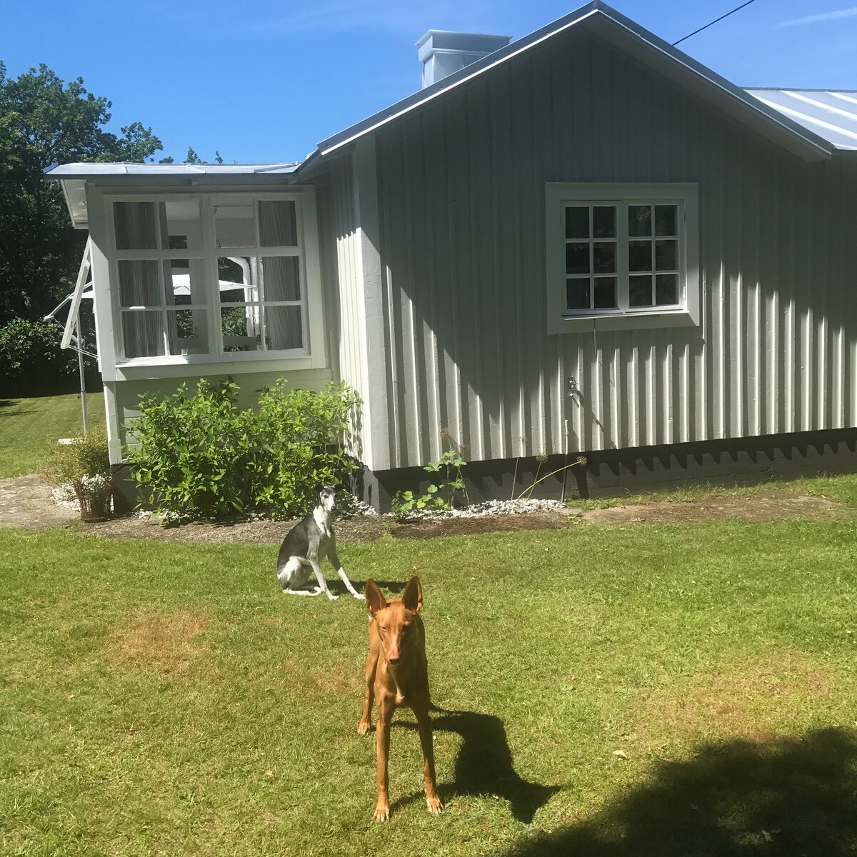 Idyllic house on summer island Aspö, Drottningskär