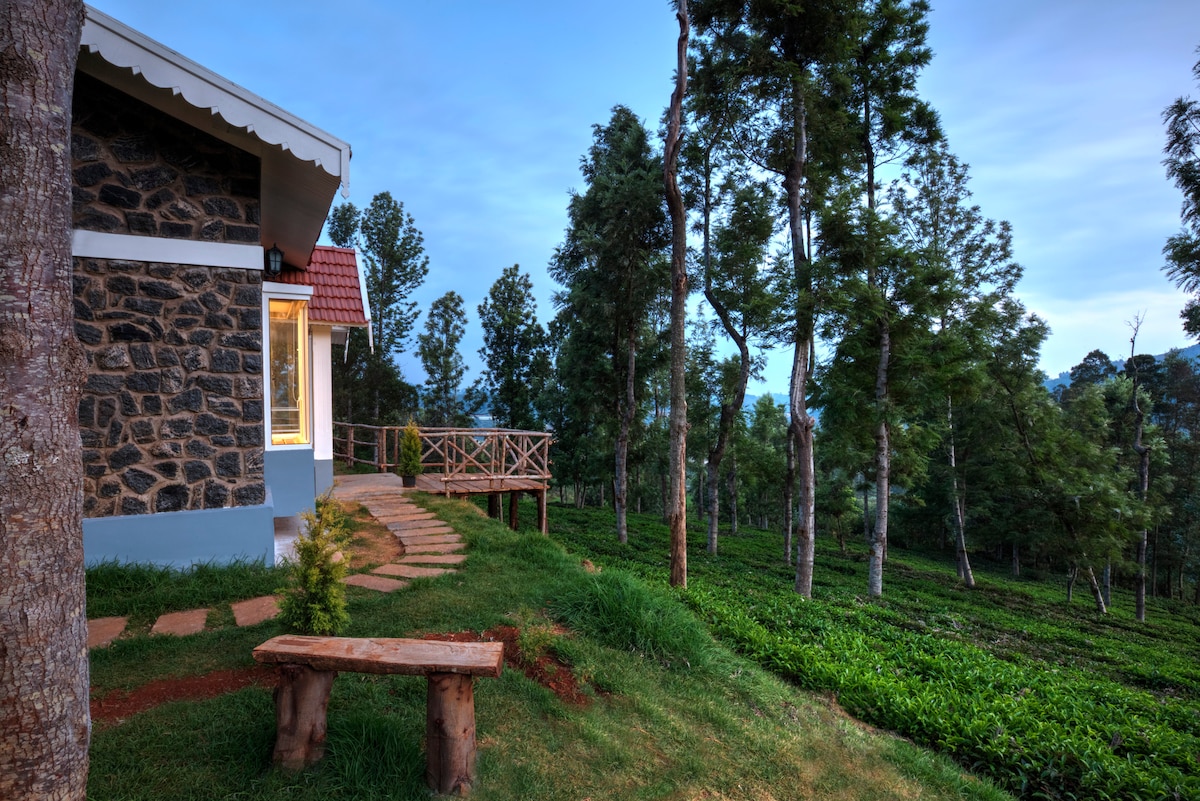 Ketti Valley Blue Ridge Lower Stone Cottage