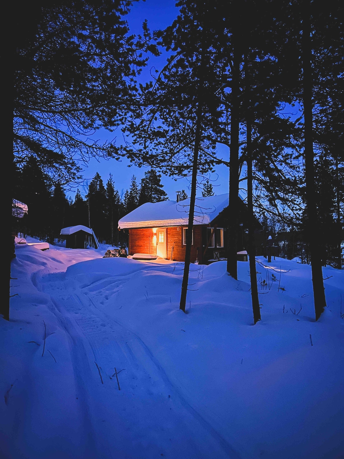 Pasvikdalen带桑拿的舒适小屋