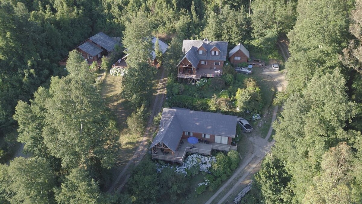 Riñihue Lakeside House