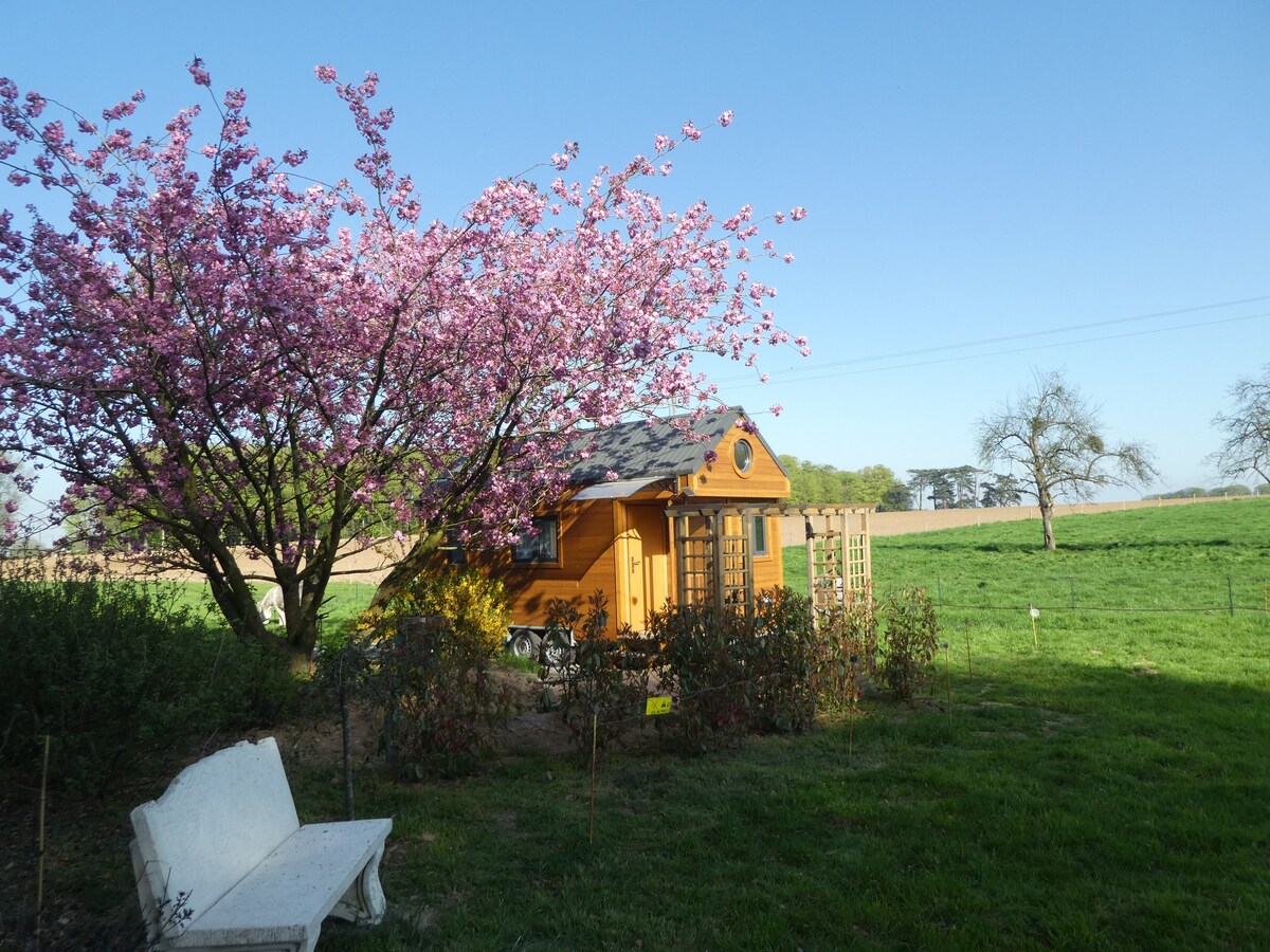 Ma petite maison （小屋）