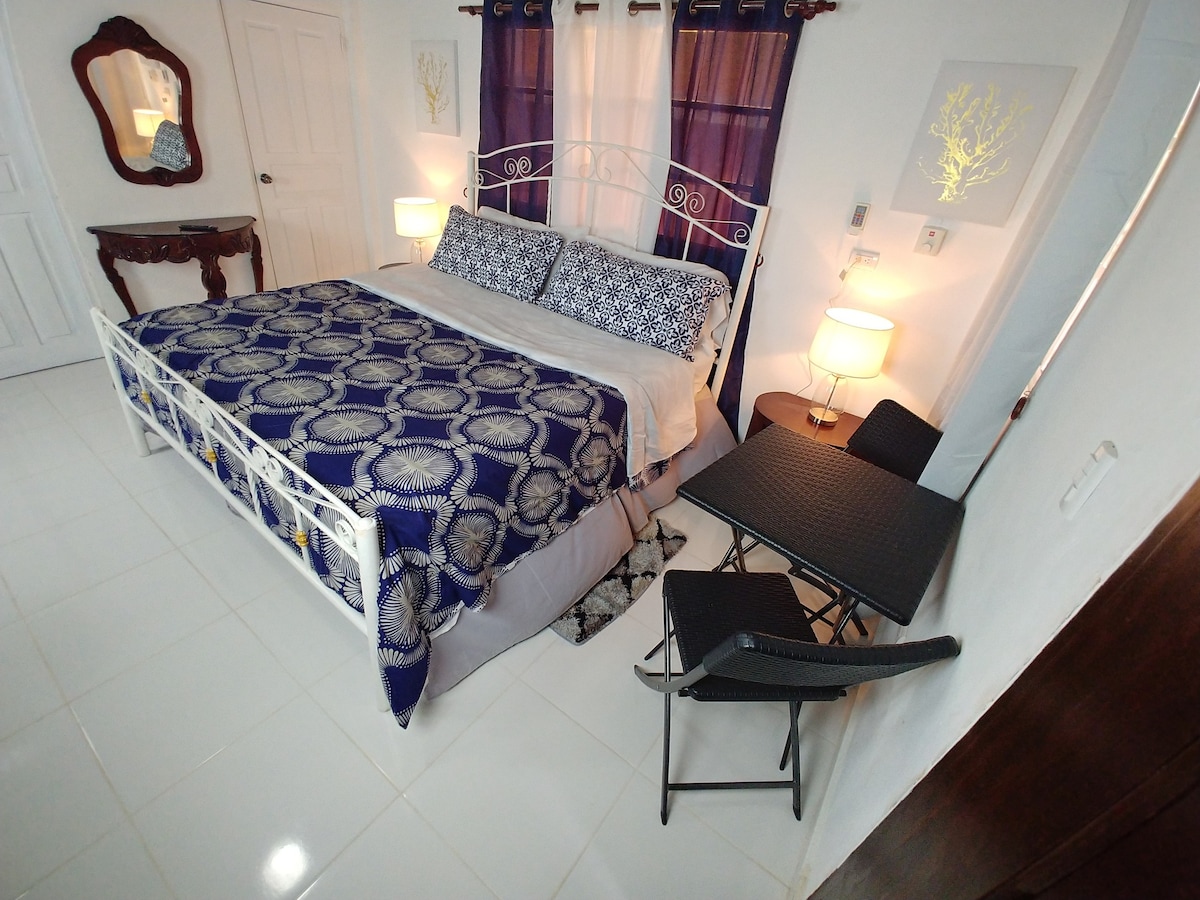 单间公寓、2米宽双人床、空调、沙发床、桌子和+ （ DS1 ）