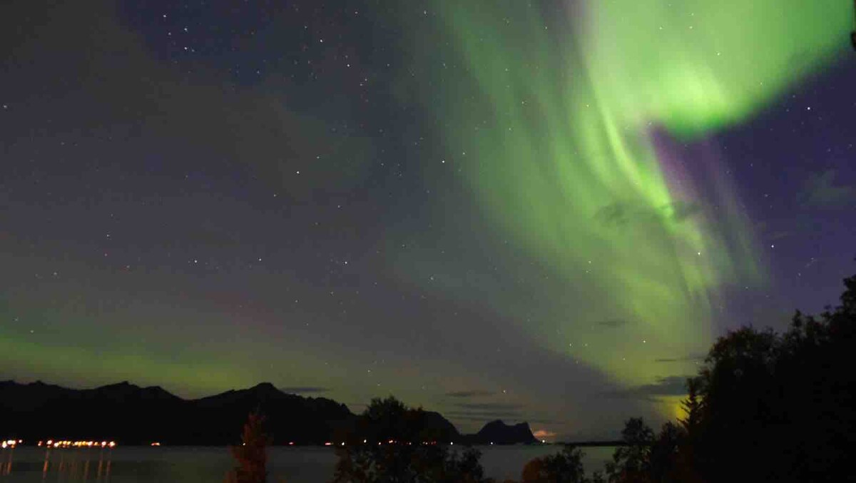 Sjøtun Senja
House ，俯瞰Bergsfjord