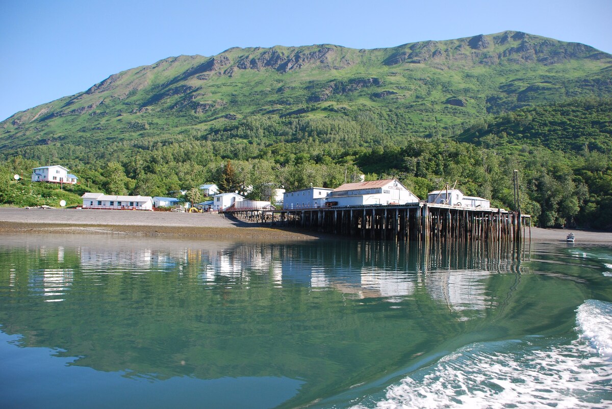 Zachar Bay Lodge ，荒野冒险， 103室