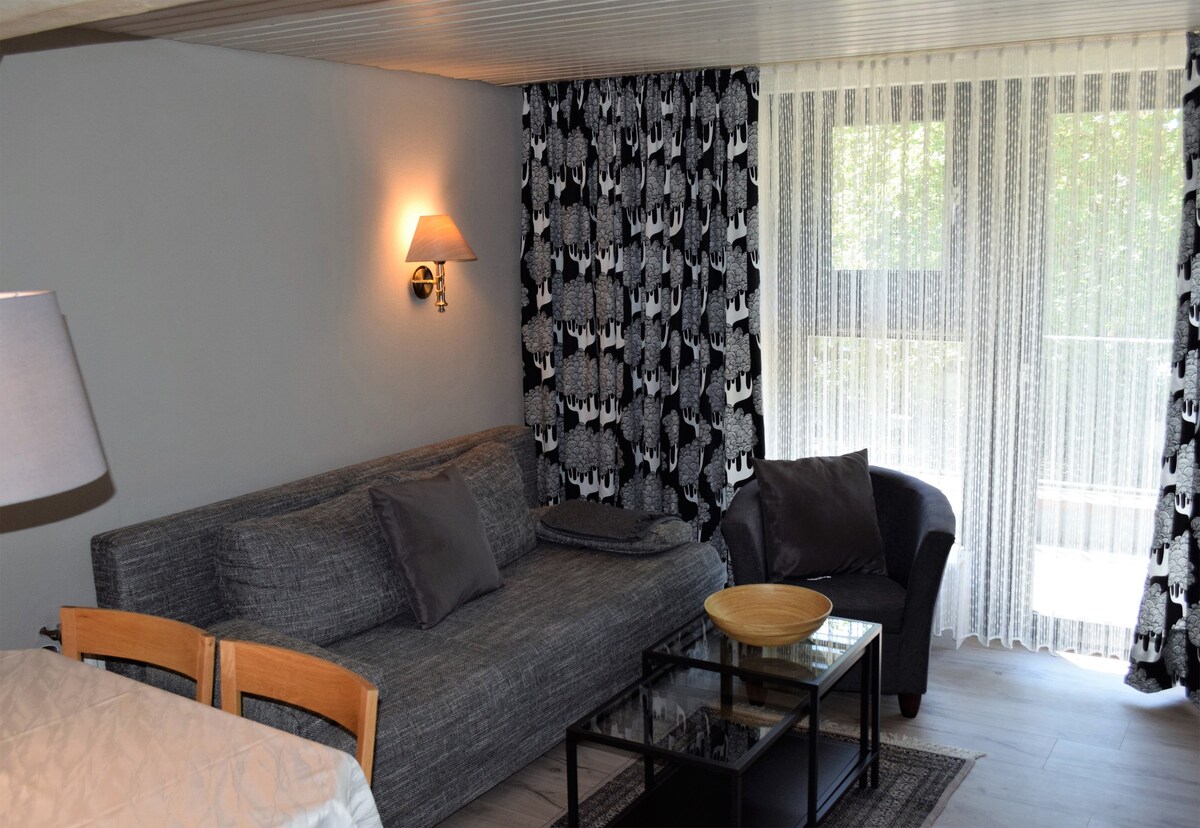 Landhaus Bornemann ， （ Diemelsee ） ，公寓2 ， 46平方米， 1间卧室， 1间客厅/卧室，最多4人