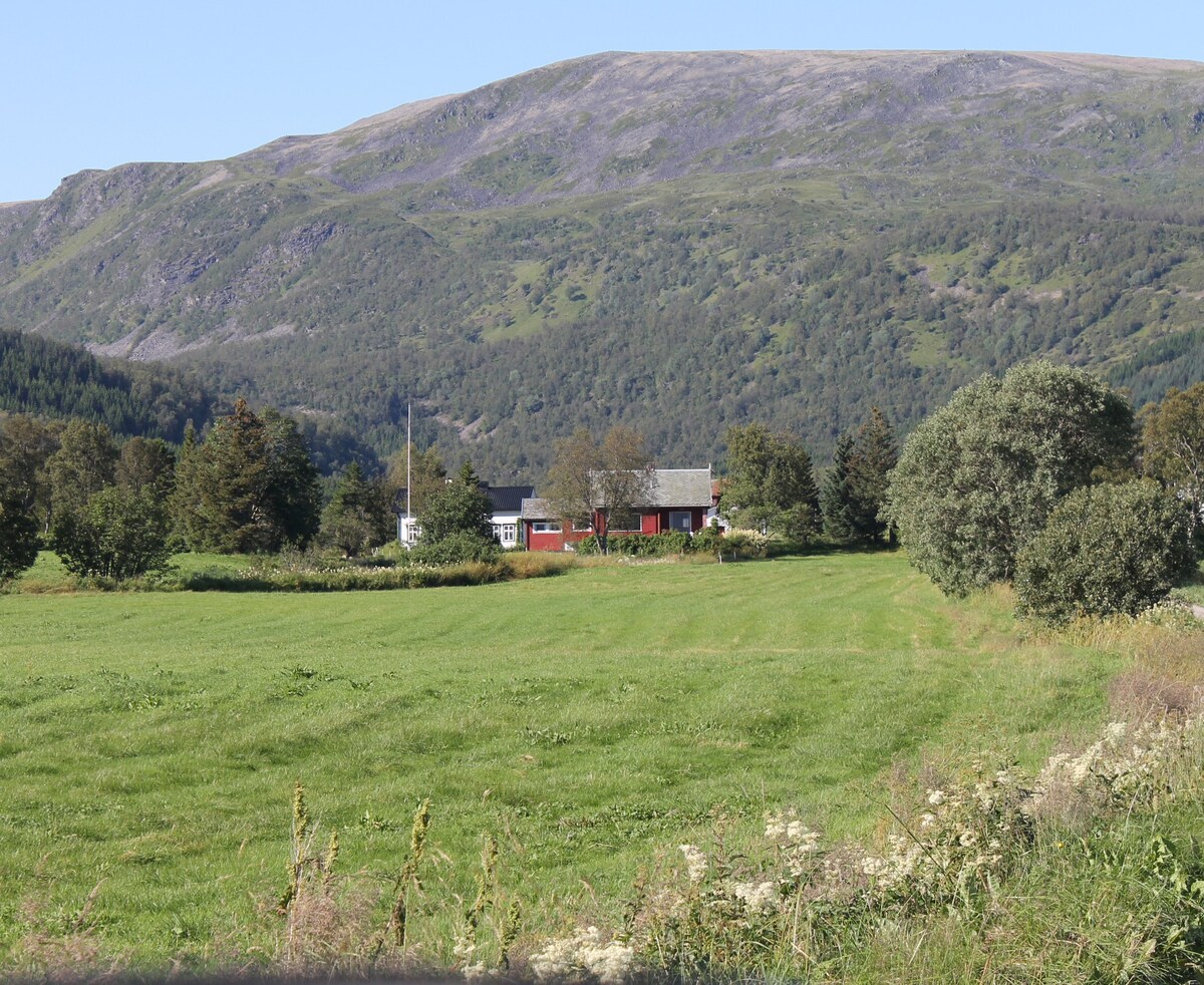 Vesterålen Gem