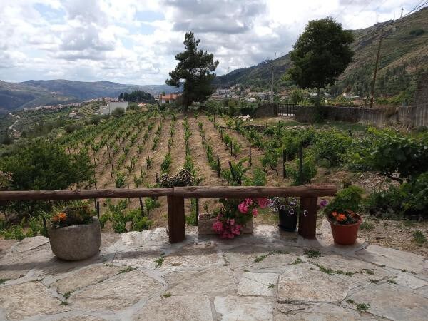 Casa da Vinha em Tabuaço (Douro) -可欣赏美景的房源