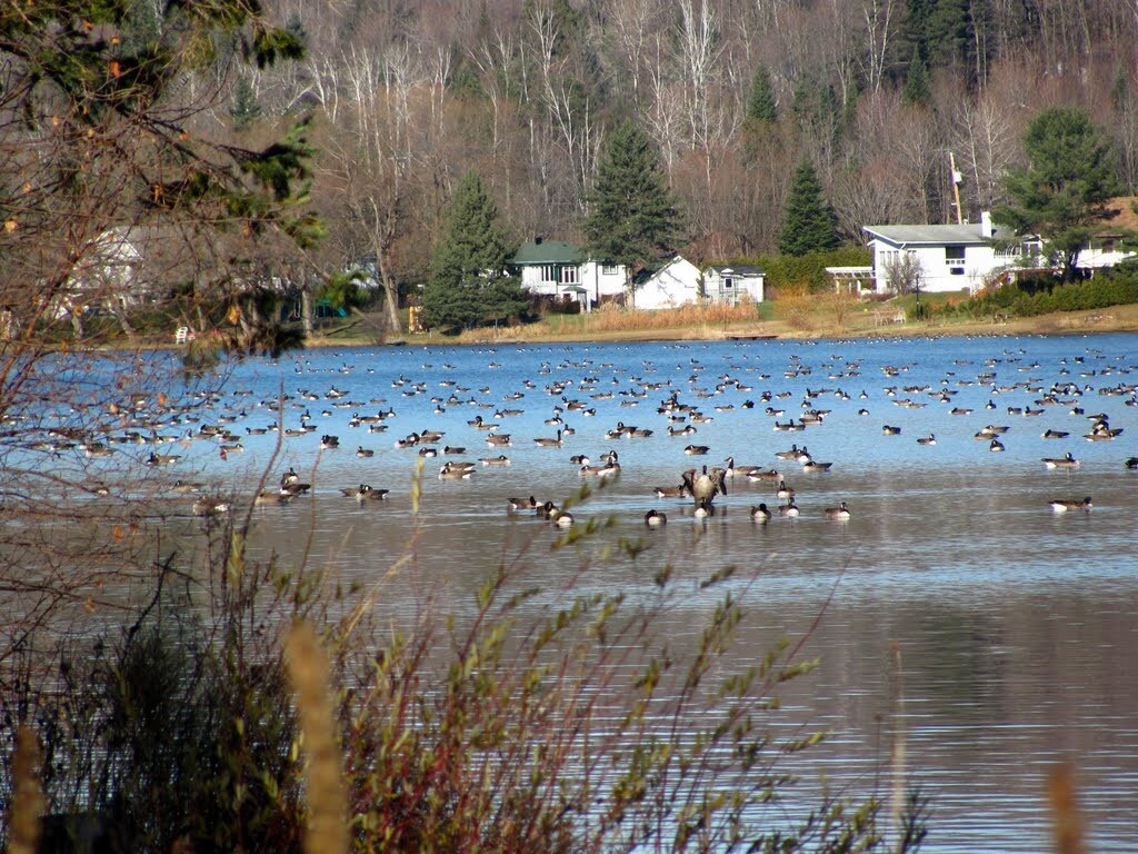 安静的Siesta Lake距离MTL 1小时车程