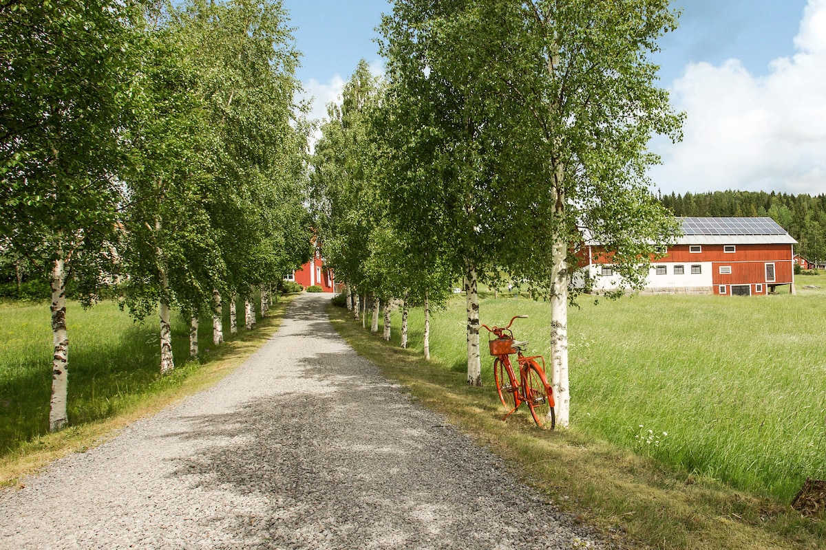 在乡村田园诗般的住宿， Ultrå Hästgård