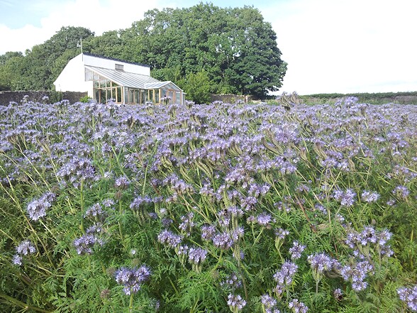 Traditional Style 3 Bedroom Country Cottage