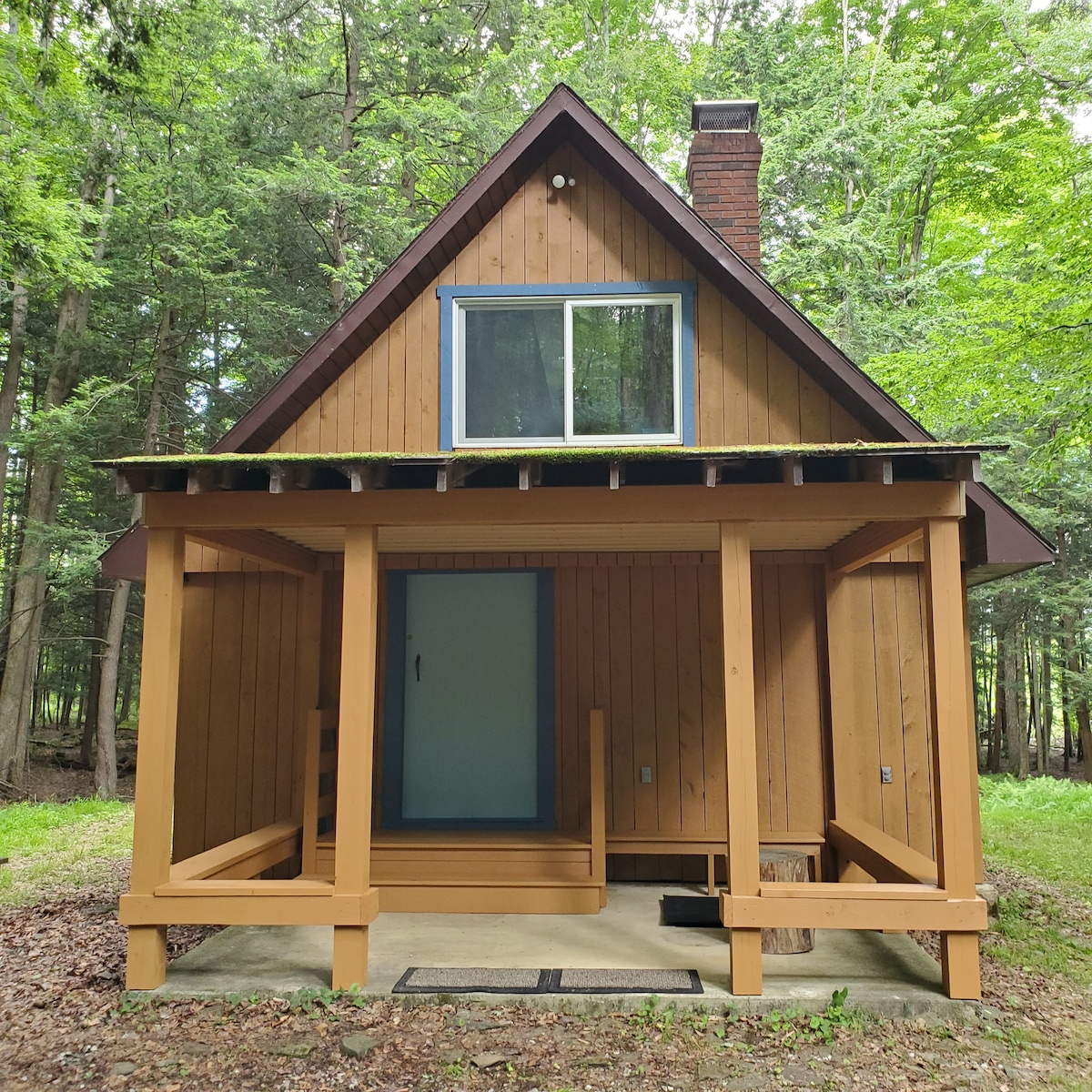 州立公园附近森林中的舒适小木屋