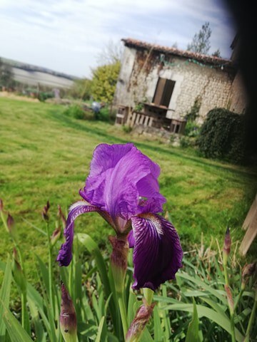 chambre de la terre au bout du chemin