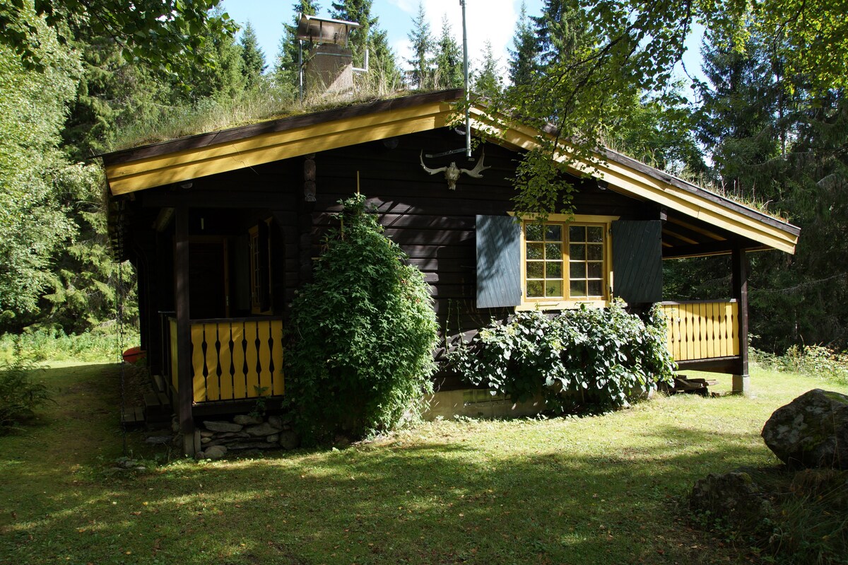 小木屋位于Fredros am Waldsee ，含船舶