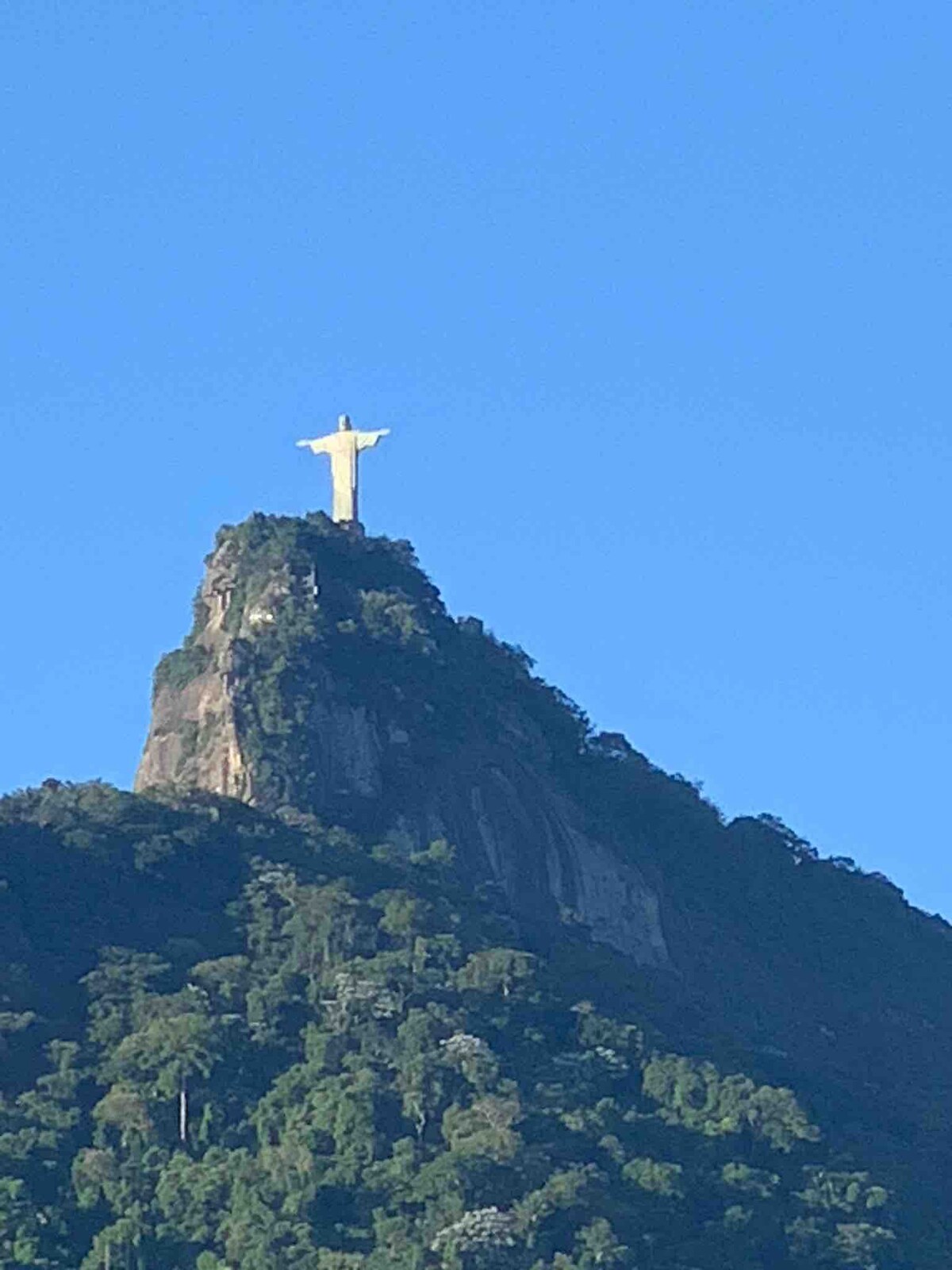 里约探险之旅的完美基地