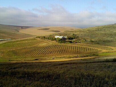 Unique mountain vineyard home 8km from Greyton