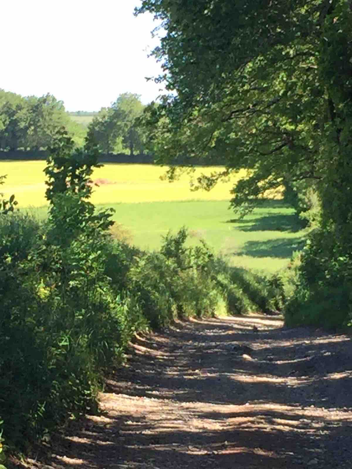 La Grange de Sablayrolles