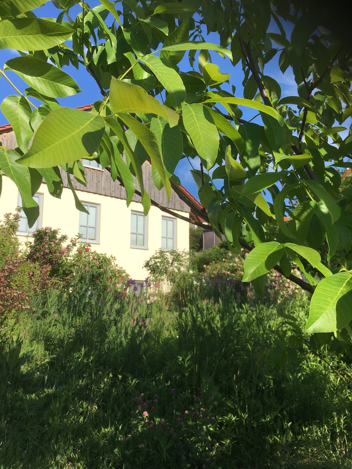 "Im Schiller" - Ferienwohnung in den Weinbergen