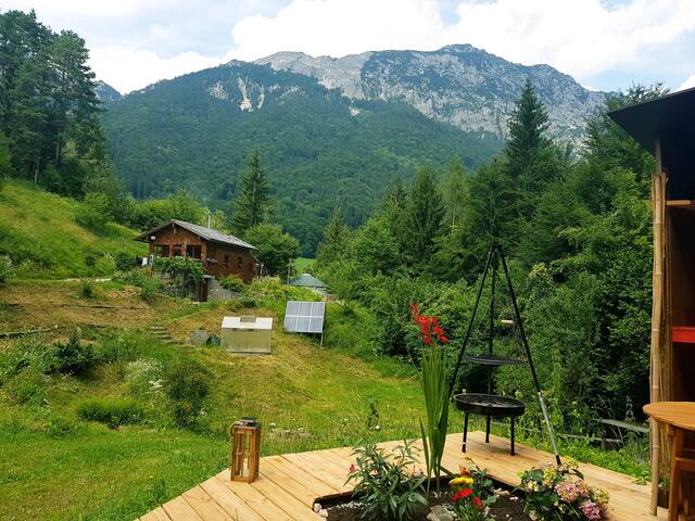 巴德赖兴哈尔(Bad Reichenhall)的民宿