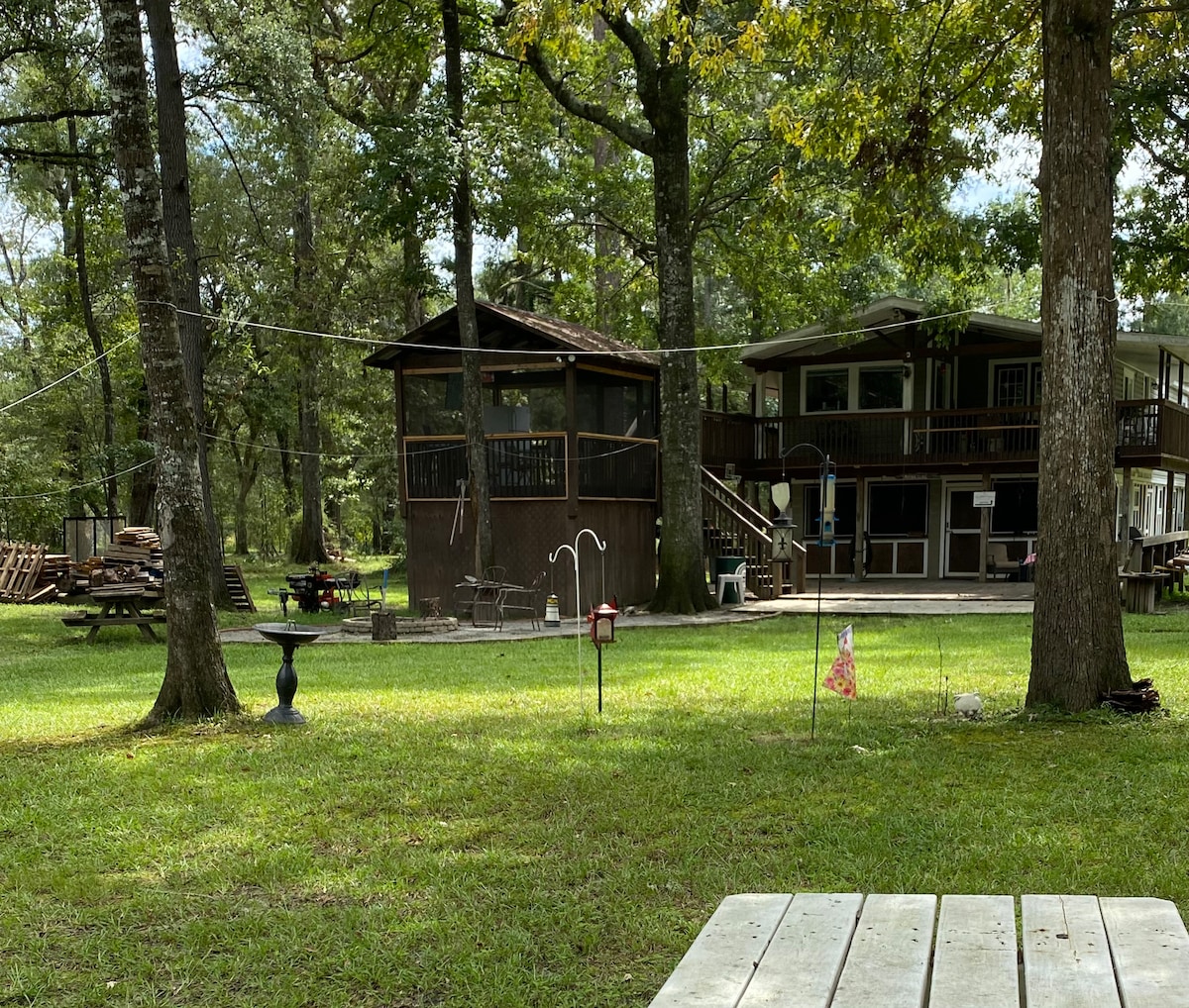 The Cardinals Nest - On The Edisto River。