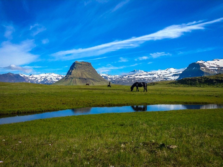 Berg 2 Horse农场生活