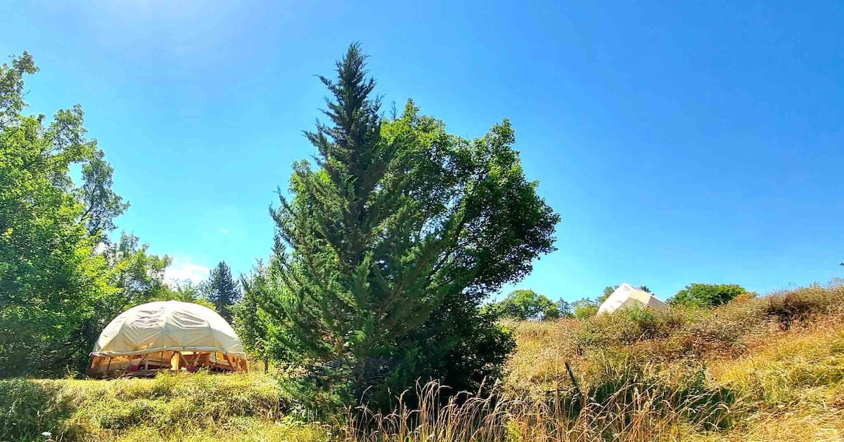 Bambou Dôme géodésique en pleine nature