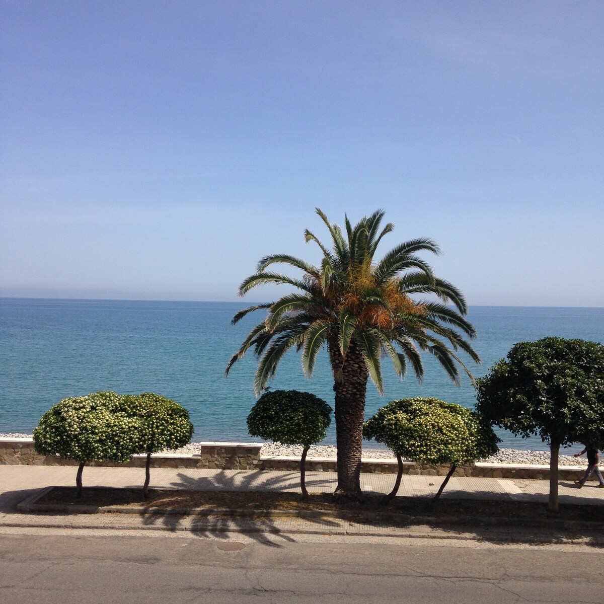 Sunny Terrace Apartment onthe Beach