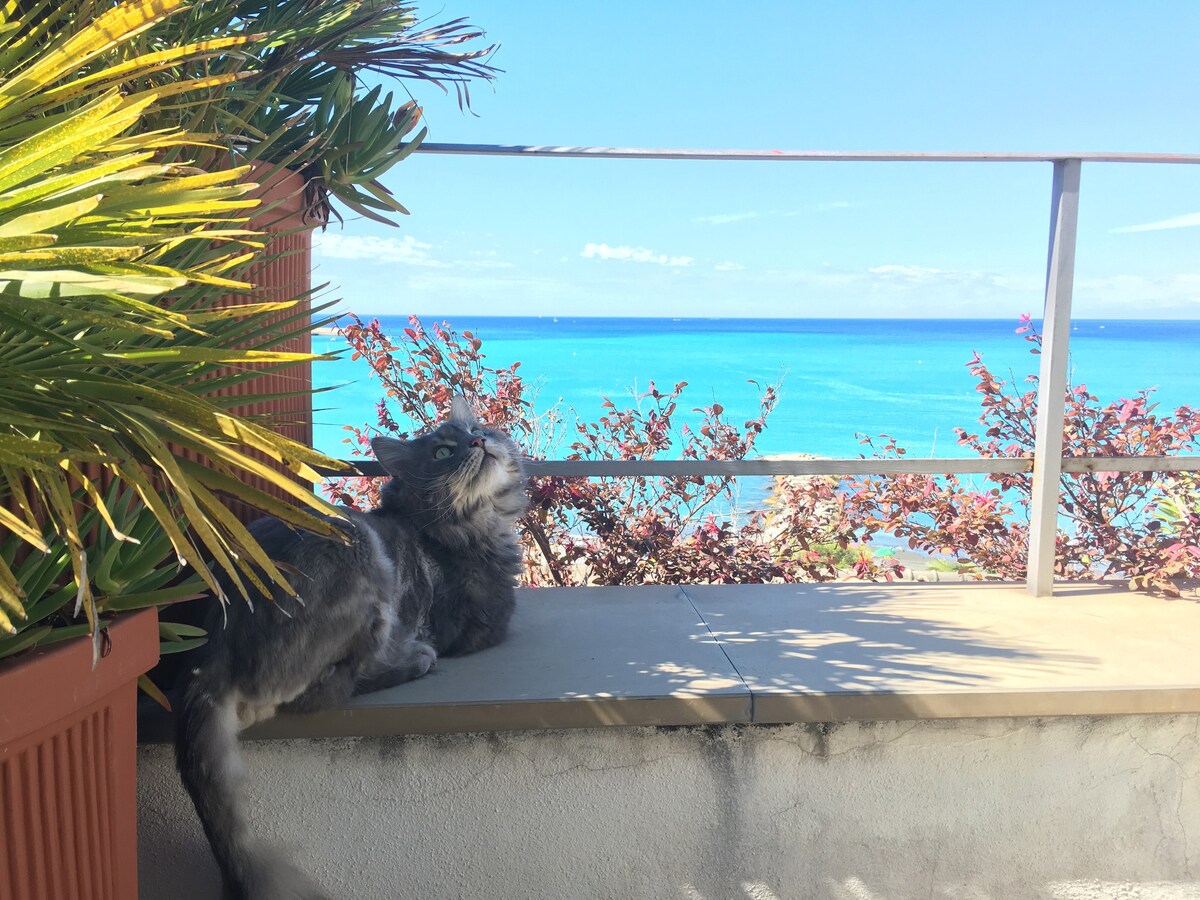 Attico, Vista mozzafiato con terrazzo su spiaggia.