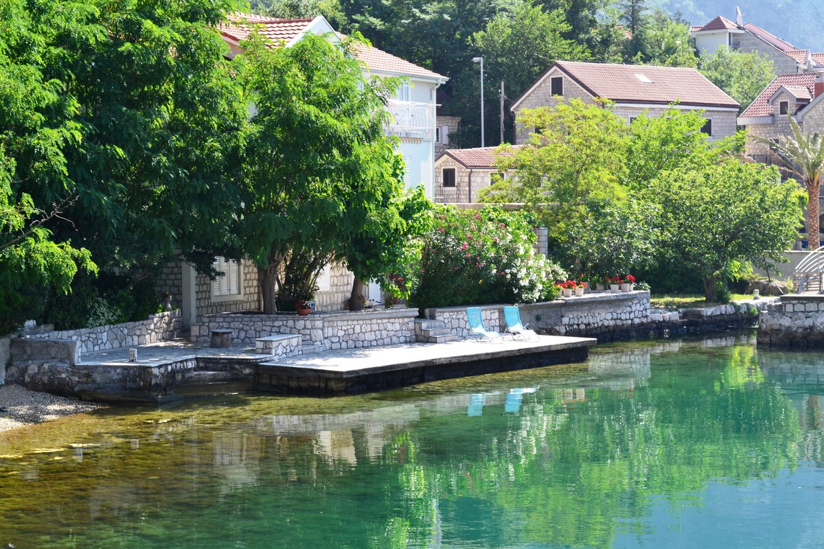 Apartment on the coast of Kotor bay