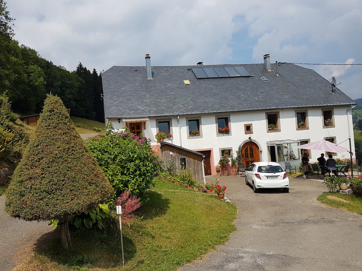 Mon Doux Nid - L'hirondelle Gîte rural 5 personnes