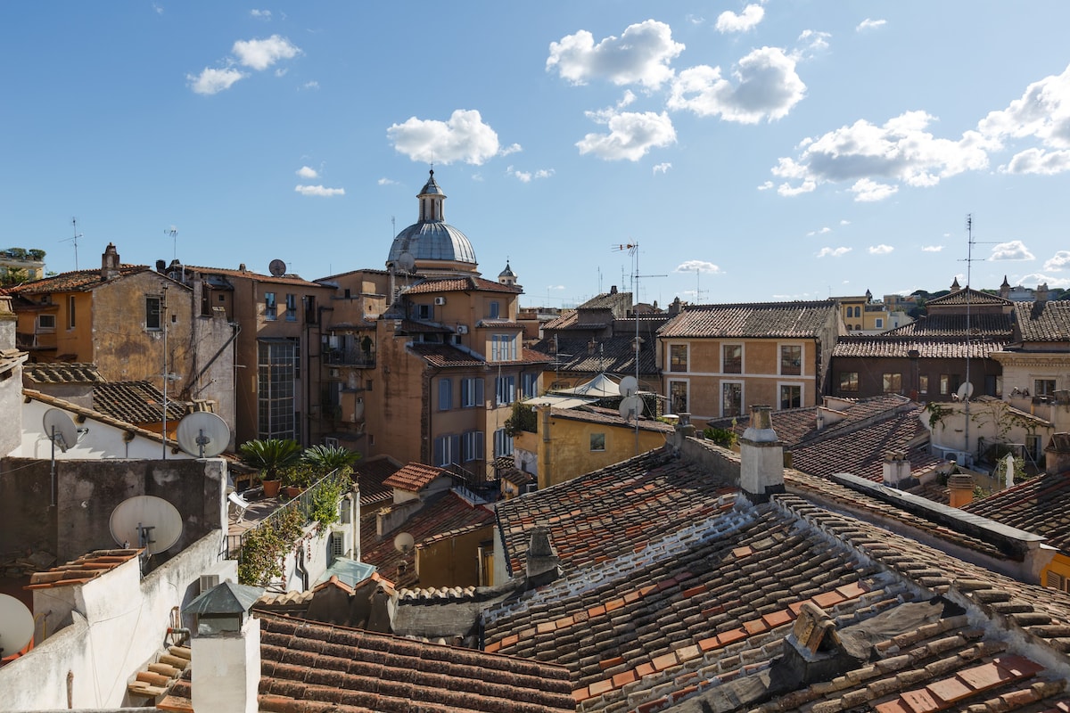 Charme公寓Campo de 'Fiori, Monkey PaperWall